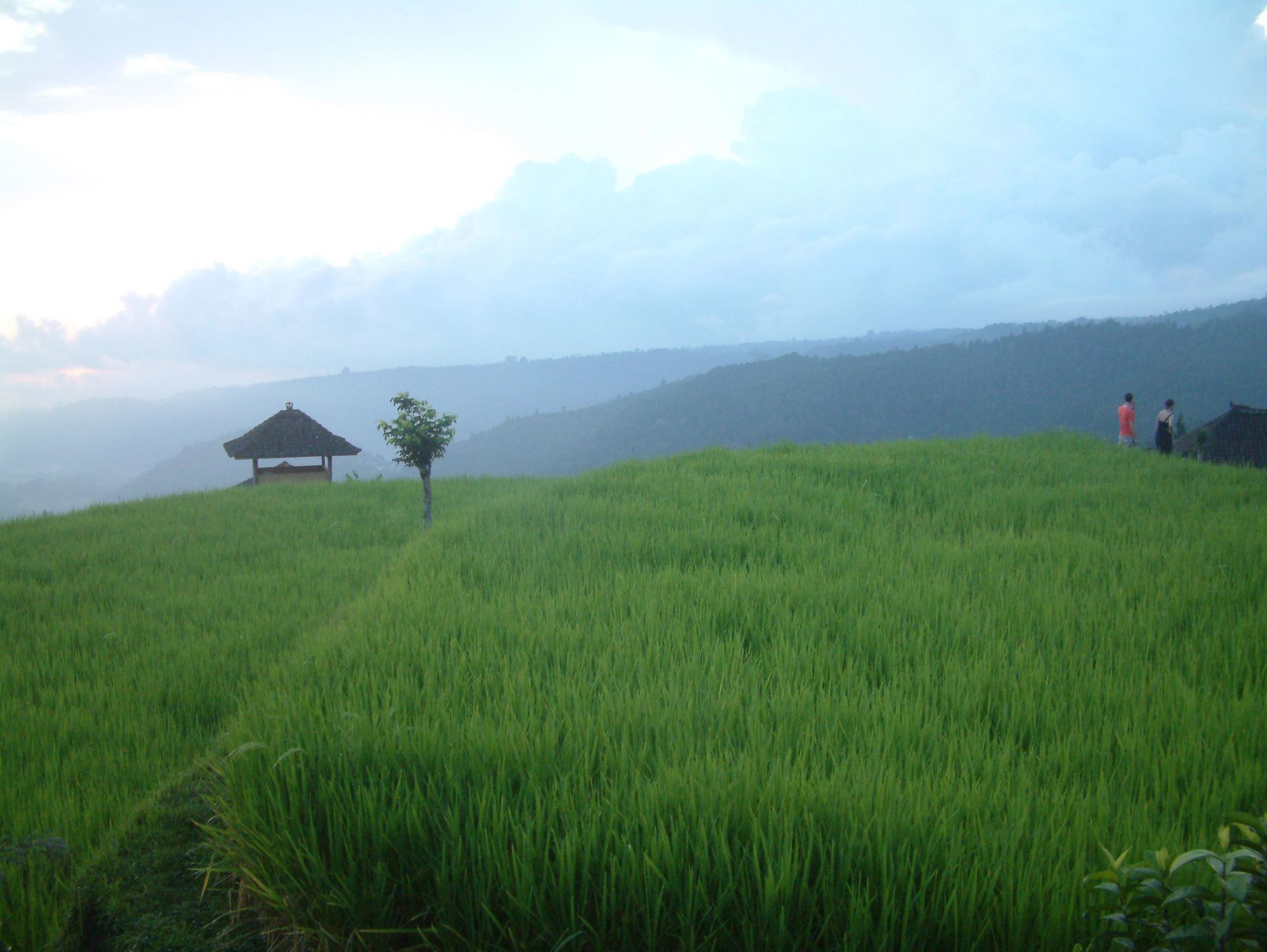 Puri Lumbung Cottages Gobleg  Esterno foto
