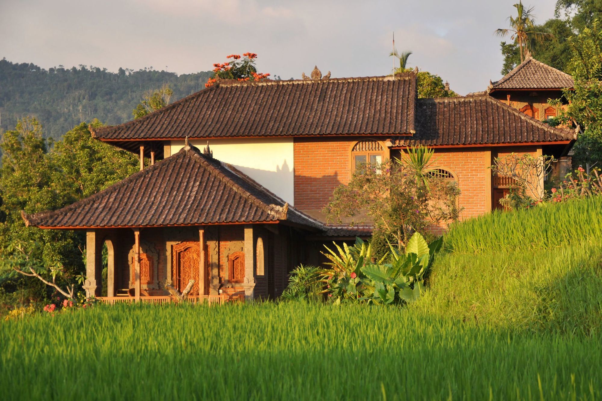 Puri Lumbung Cottages Gobleg  Esterno foto