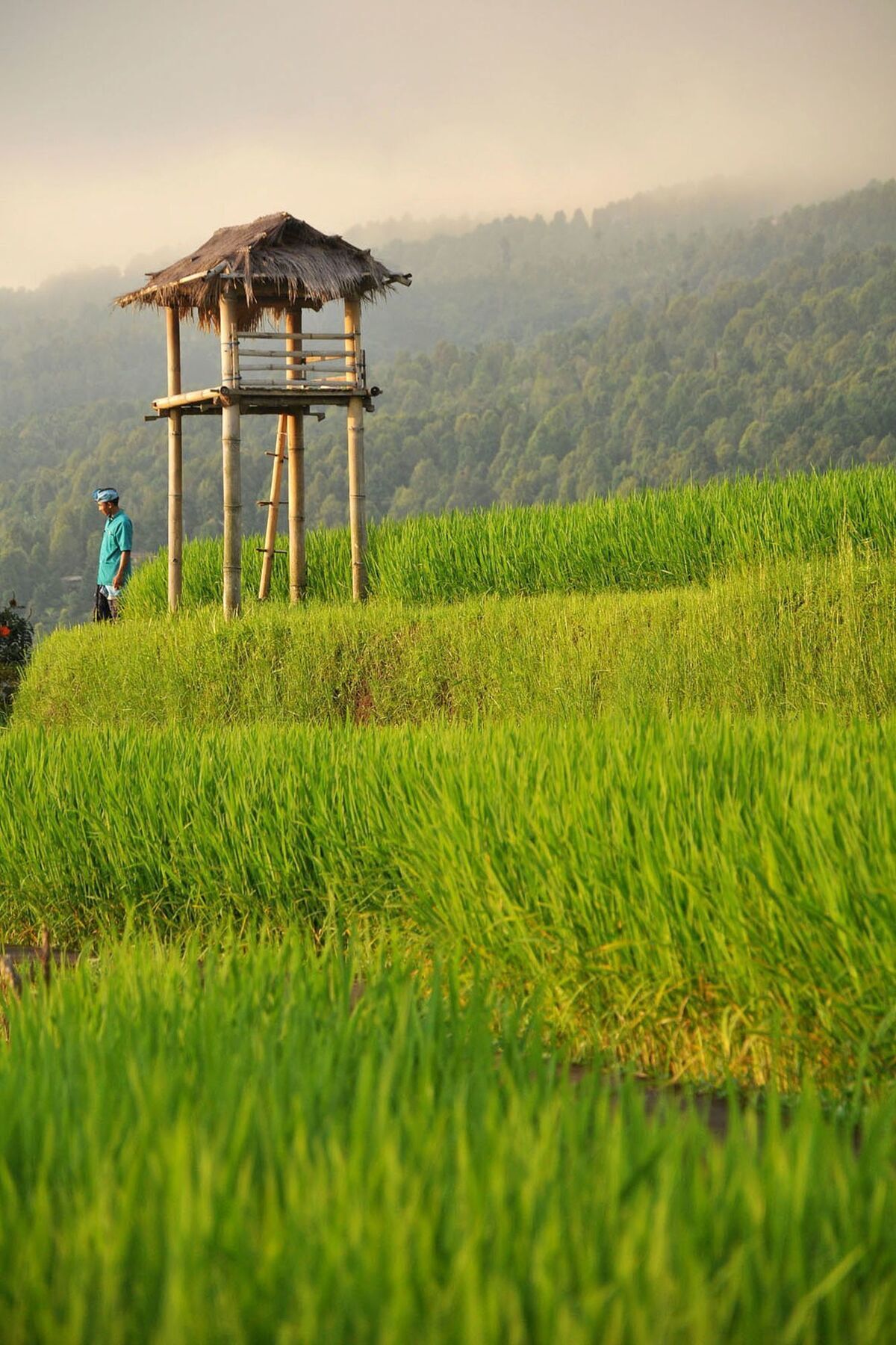 Puri Lumbung Cottages Gobleg  Esterno foto