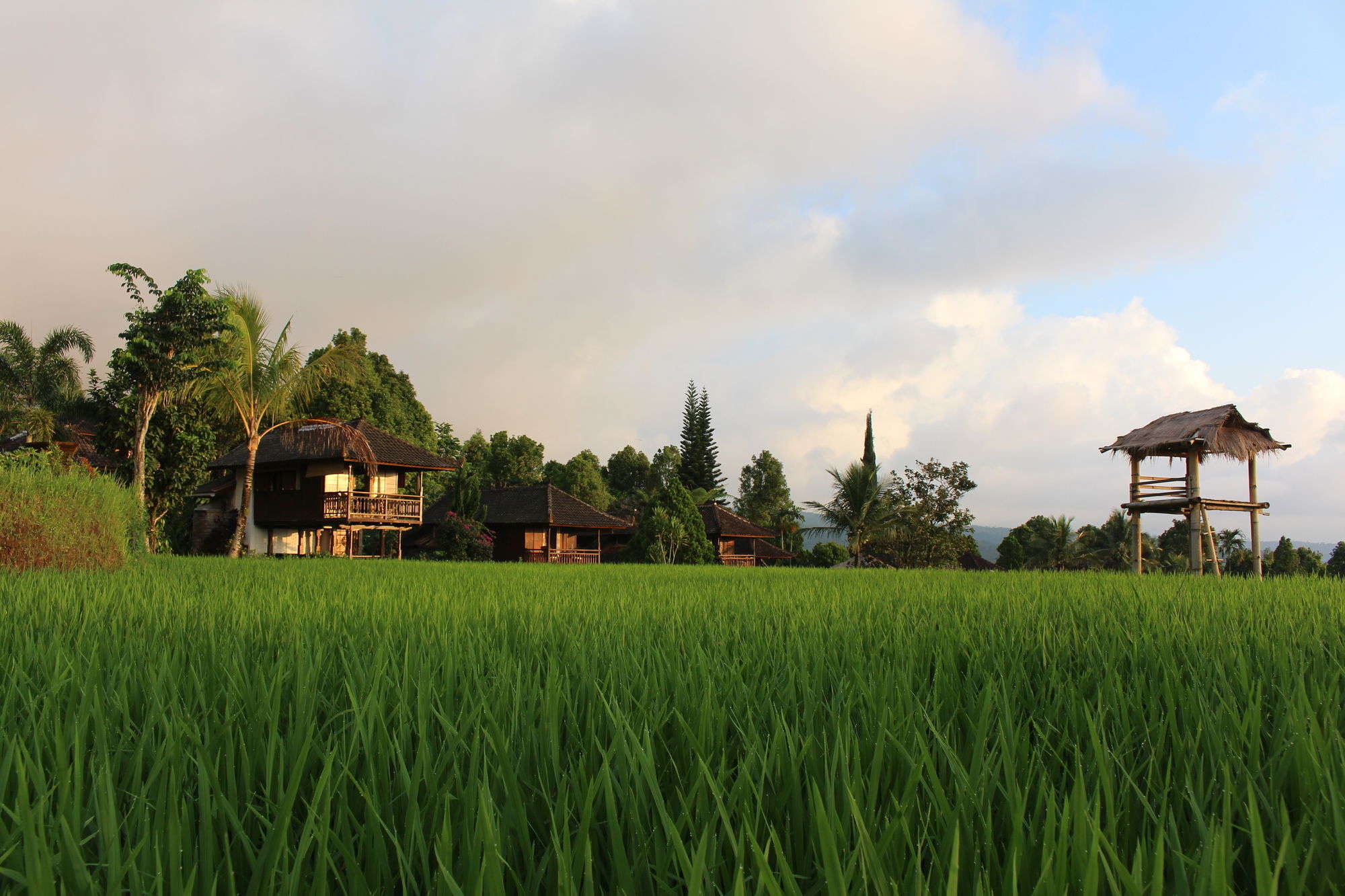 Puri Lumbung Cottages Gobleg  Esterno foto